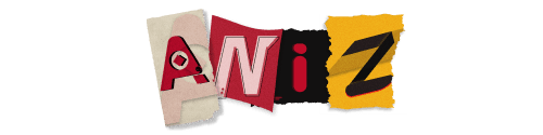 Aniz Bin Nowshad's blog